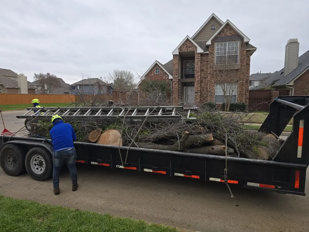 Expert Tree Pest Control with proper safety equipment in Gillett